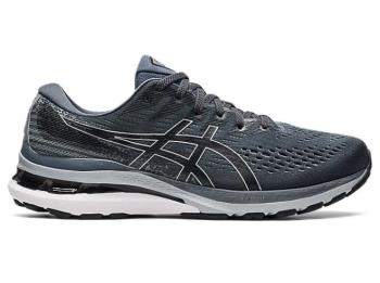 Asics GEL-KAYANO 28 Herre Løpesko NO920OP